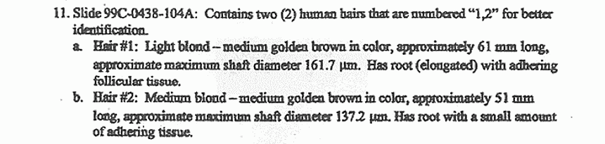 November 30, 1999: AFME Forensic Trace Materials Analysis Lab Report, p. 4