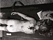 Autopsy photo of Kristen MacDonald
