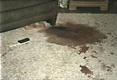 Blood stains on rug in east bedroom where body of Colette MacDonald was found