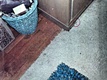 White 9 x 12 rug in east bedroom, with wood splinter circled by investigators